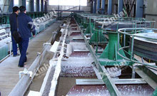 Fluorite Flotation Process