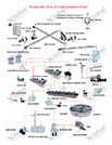 Gold Flotation Production Line